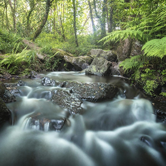 Pays de Brocéliande